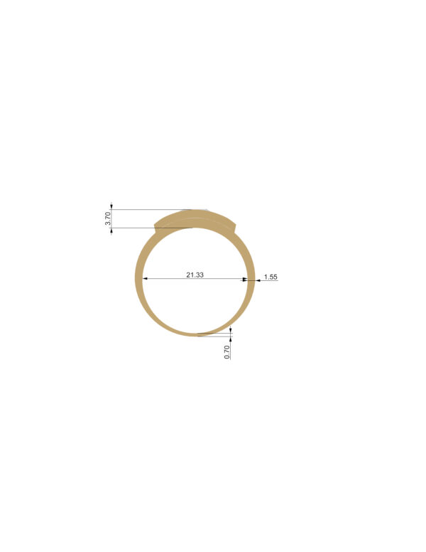 OV3D041 - Anel de Formatura