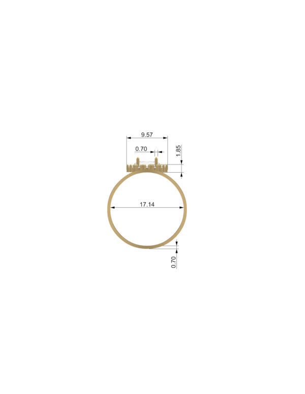 OV3D021 - Anel de Formatura