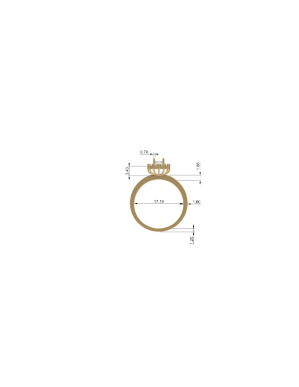 OV3D017 - Anel de Formatura
