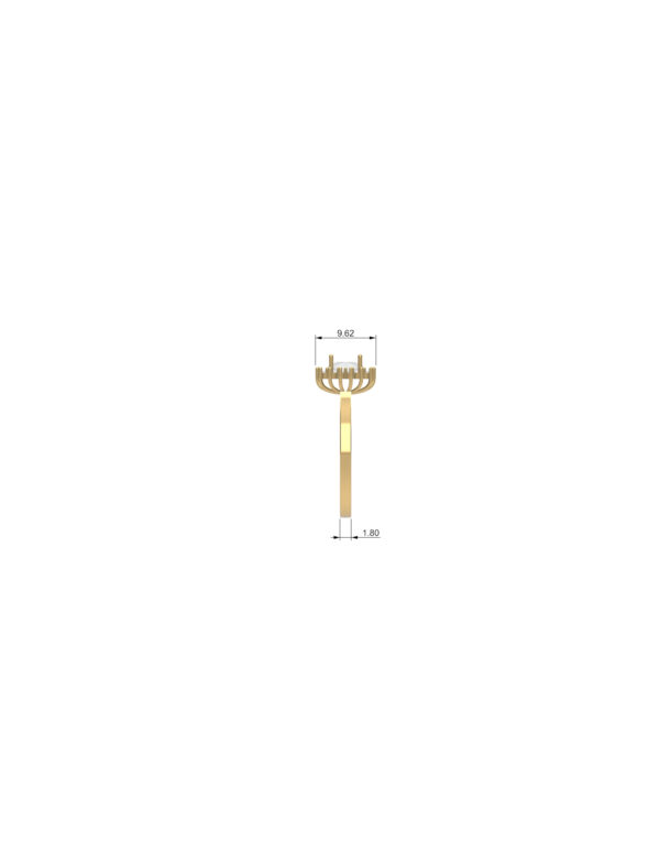 OV3D017 - Anel de Formatura