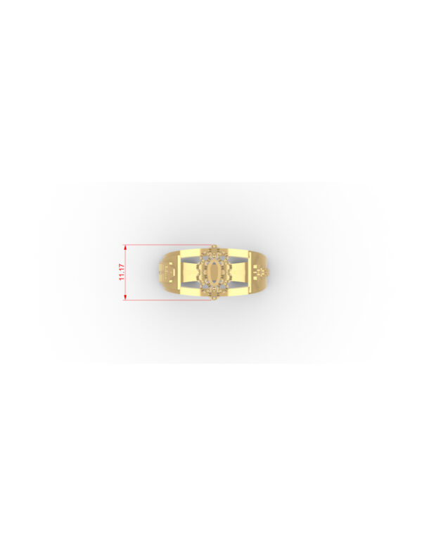 OV3D013 - Anel de Formatura