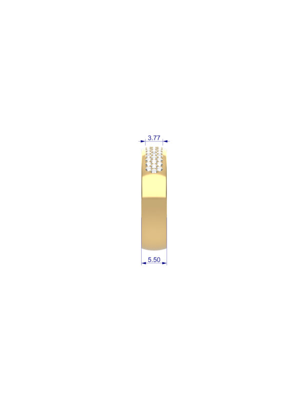 OV3D032 - Anel Aparador