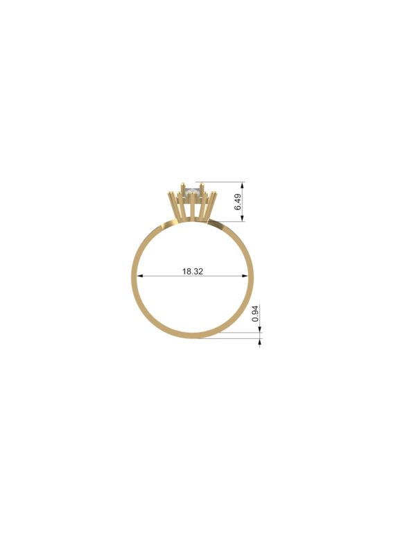 OV3D011 - Anel de Formatura