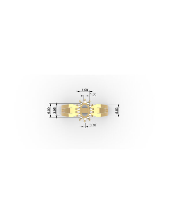 OV3D011 - Anel de Formatura
