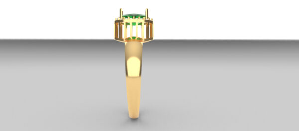 OV3D016 - Anel de Formatura