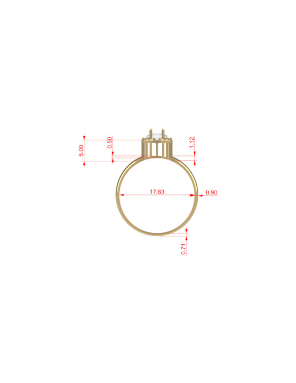 OV3D016 - Anel de Formatura