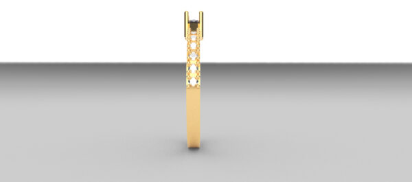 OV3D035 - Anel Navete