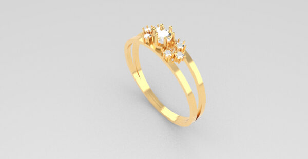 OV3D028 - Formatura