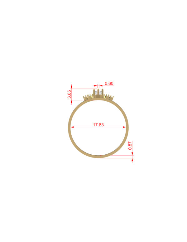 OV3D028 - Formatura