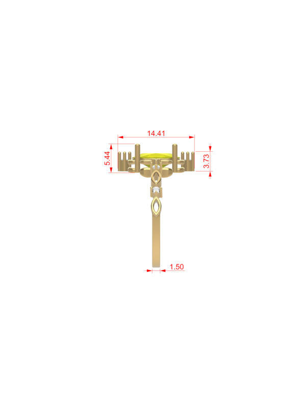 OV3D051 - Anel Detalhado